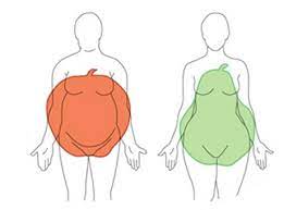 Tipos de obesidad androide y ginecoide